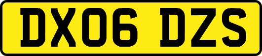 DX06DZS