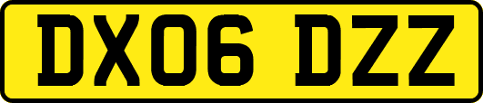 DX06DZZ