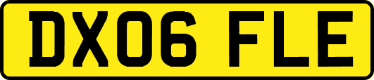 DX06FLE