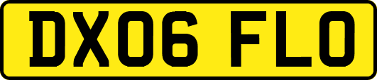 DX06FLO