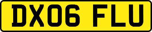 DX06FLU