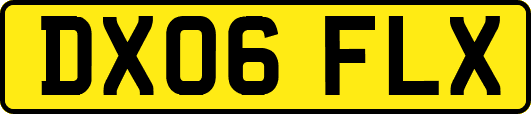 DX06FLX