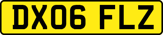 DX06FLZ
