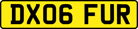 DX06FUR