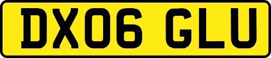 DX06GLU