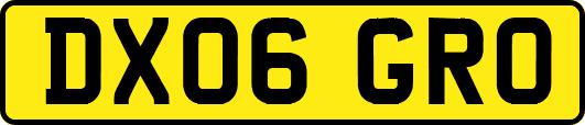 DX06GRO
