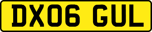 DX06GUL