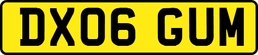 DX06GUM