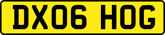 DX06HOG