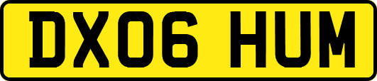 DX06HUM