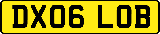 DX06LOB