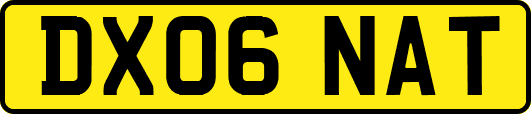 DX06NAT