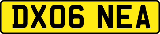 DX06NEA