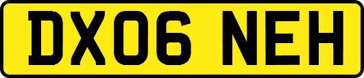 DX06NEH