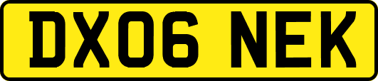 DX06NEK