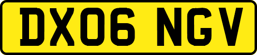 DX06NGV