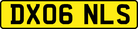 DX06NLS