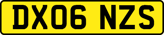 DX06NZS