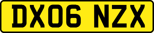 DX06NZX