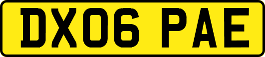 DX06PAE