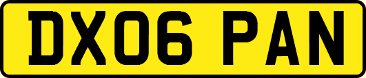 DX06PAN