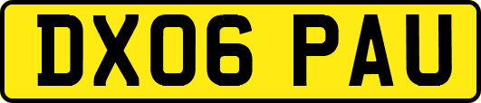 DX06PAU