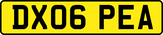 DX06PEA