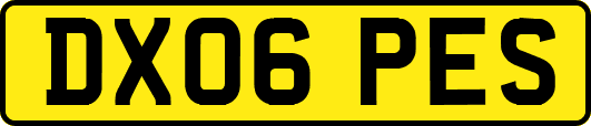 DX06PES
