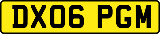 DX06PGM