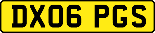 DX06PGS
