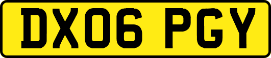 DX06PGY
