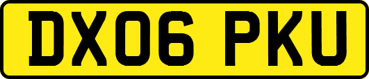 DX06PKU
