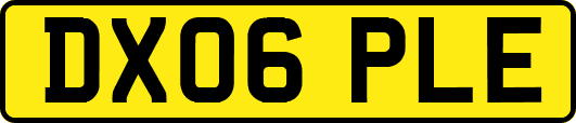 DX06PLE
