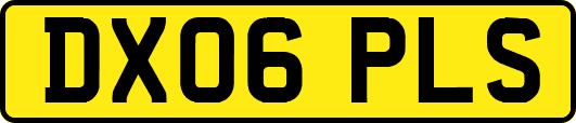 DX06PLS