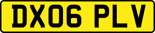 DX06PLV