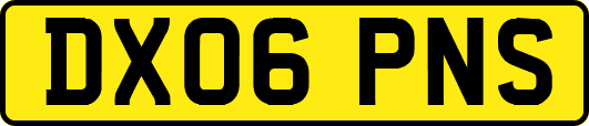 DX06PNS