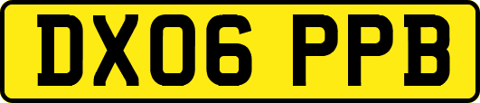DX06PPB