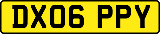 DX06PPY