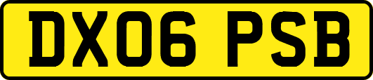 DX06PSB