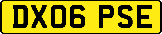 DX06PSE