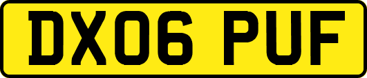 DX06PUF