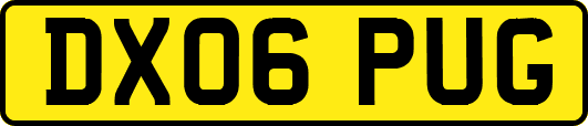 DX06PUG
