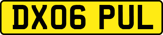 DX06PUL