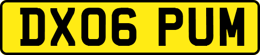 DX06PUM