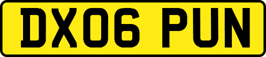 DX06PUN