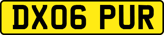 DX06PUR