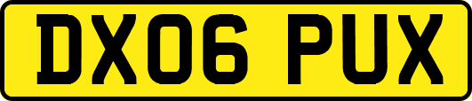 DX06PUX