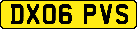 DX06PVS