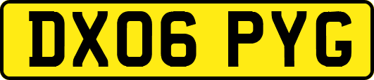 DX06PYG
