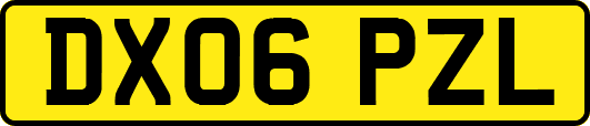 DX06PZL